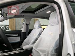 جیلی ئیمگراند